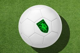 lexington sc soccer ball on green turf